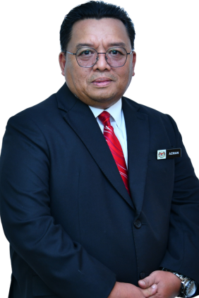 Timbalan Ketua Audit Negara (Syarikat)