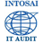 Intosai Audit